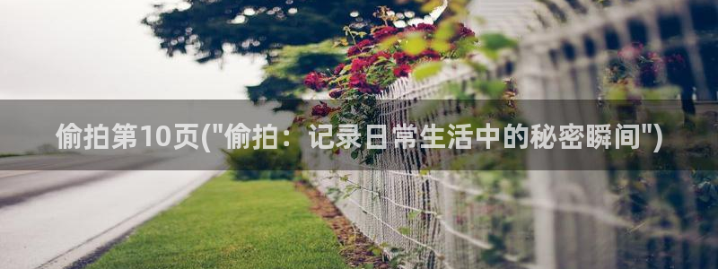 性偷拍免费视频