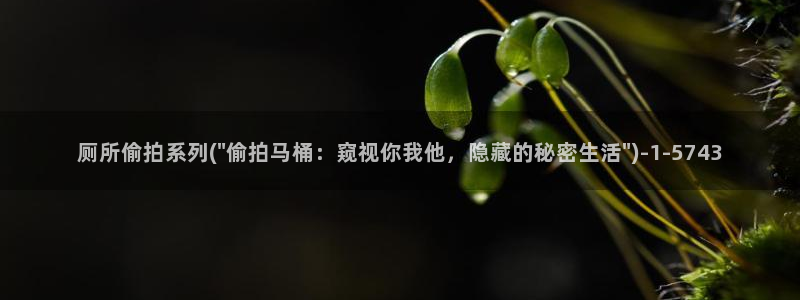 台湾佬中文偷拍亚洲综合