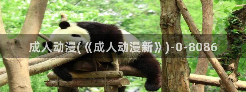 露点动漫：成人动漫(《成人动漫新》)